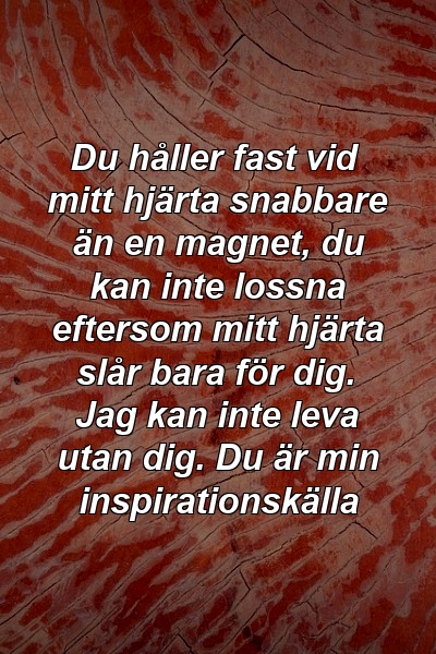 Du håller fast vid mitt hjärta snabbare än en magnet, du kan inte lossna eftersom mitt hjärta slår bara för dig. Jag kan inte leva utan dig. Du är min inspirationskälla