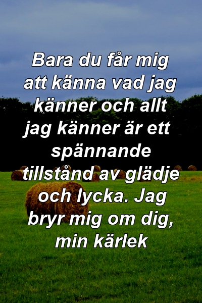 Bara du får mig att känna vad jag känner och allt jag känner är ett spännande tillstånd av glädje och lycka. Jag bryr mig om dig, min kärlek