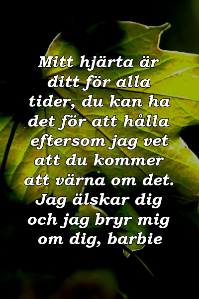 Mitt hjärta är ditt för alla tider, du kan ha det för att hålla eftersom jag vet att du kommer att värna om det. Jag älskar dig och jag bryr mig om dig, barbie