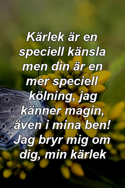 Kärlek är en speciell känsla men din är en mer speciell kölning, jag känner magin, även i mina ben! Jag bryr mig om dig, min kärlek