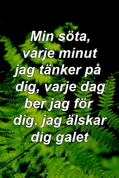 Min söta, varje minut jag tänker på dig, varje dag ber jag för dig. jag älskar dig galet