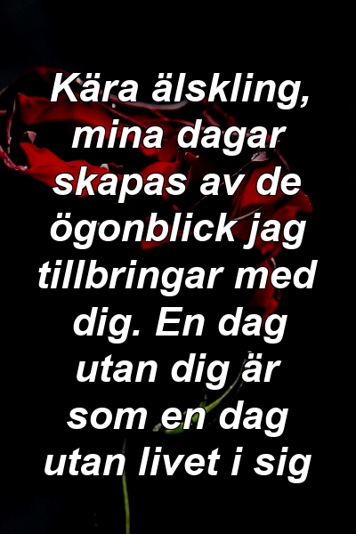 Kära älskling, mina dagar skapas av de ögonblick jag tillbringar med dig. En dag utan dig är som en dag utan livet i sig