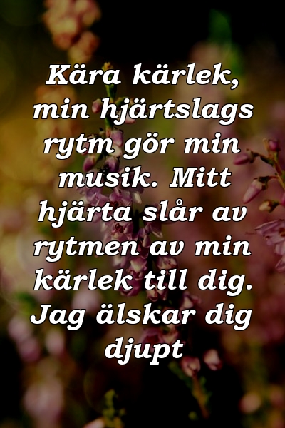 Kära kärlek, min hjärtslags rytm gör min musik. Mitt hjärta slår av rytmen av min kärlek till dig. Jag älskar dig djupt