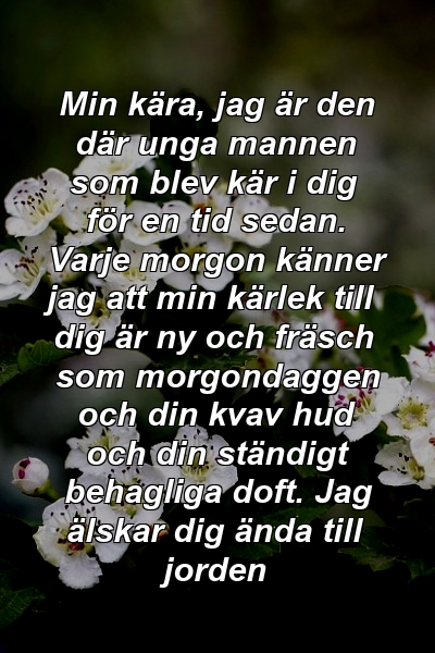 Min kära, jag är den där unga mannen som blev kär i dig för en tid sedan. Varje morgon känner jag att min kärlek till dig är ny och fräsch som morgondaggen och din kvav hud och din ständigt behagliga doft. Jag älskar dig ända till jorden