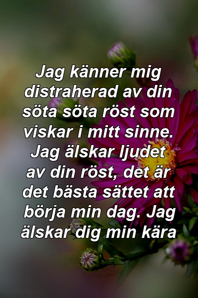 Jag känner mig distraherad av din söta söta röst som viskar i mitt sinne. Jag älskar ljudet av din röst, det är det bästa sättet att börja min dag. Jag älskar dig min kära