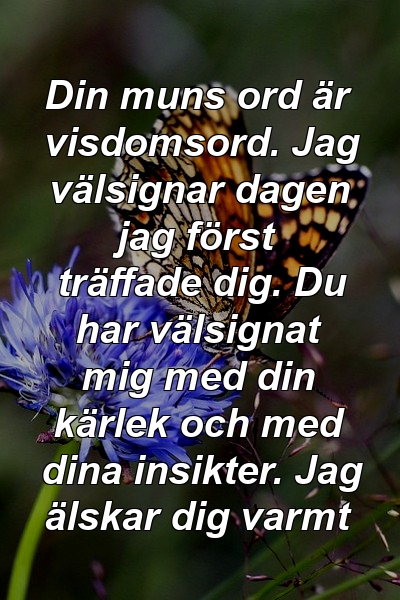 Din muns ord är visdomsord. Jag välsignar dagen jag först träffade dig. Du har välsignat mig med din kärlek och med dina insikter. Jag älskar dig varmt