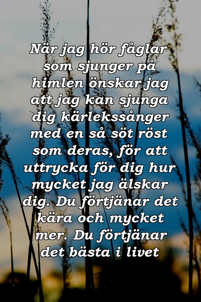 När jag hör fåglar som sjunger på himlen önskar jag att jag kan sjunga dig kärlekssånger med en så söt röst som deras, för att uttrycka för dig hur mycket jag älskar dig. Du förtjänar det kära och mycket mer. Du förtjänar det bästa i livet