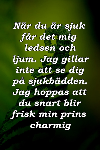 När du är sjuk får det mig ledsen och ljum. Jag gillar inte att se dig på sjukbädden. Jag hoppas att du snart blir frisk min prins charmig