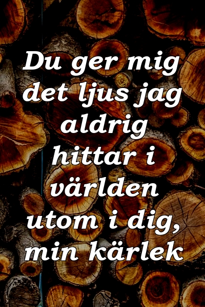 Du ger mig det ljus jag aldrig hittar i världen utom i dig, min kärlek