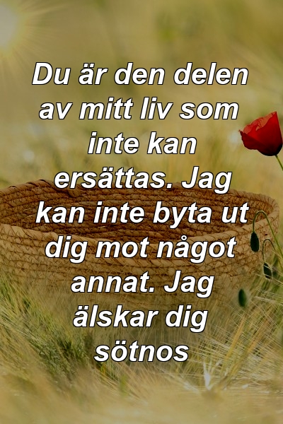 Du är den delen av mitt liv som inte kan ersättas. Jag kan inte byta ut dig mot något annat. Jag älskar dig sötnos