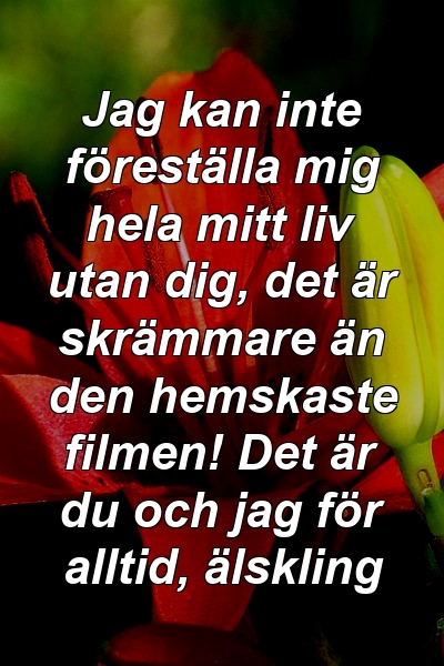 Jag kan inte föreställa mig hela mitt liv utan dig, det är skrämmare än den hemskaste filmen! Det är du och jag för alltid, älskling