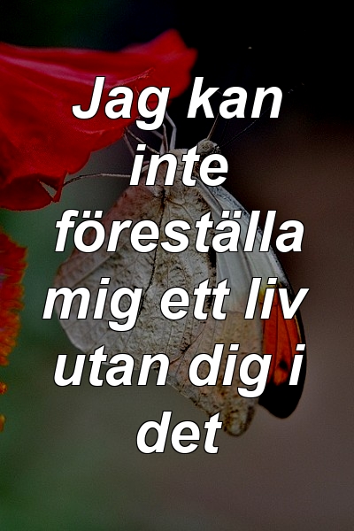 Jag kan inte föreställa mig ett liv utan dig i det