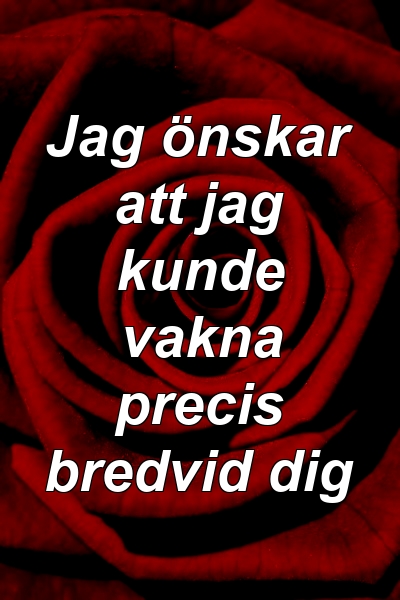 Jag önskar att jag kunde vakna precis bredvid dig