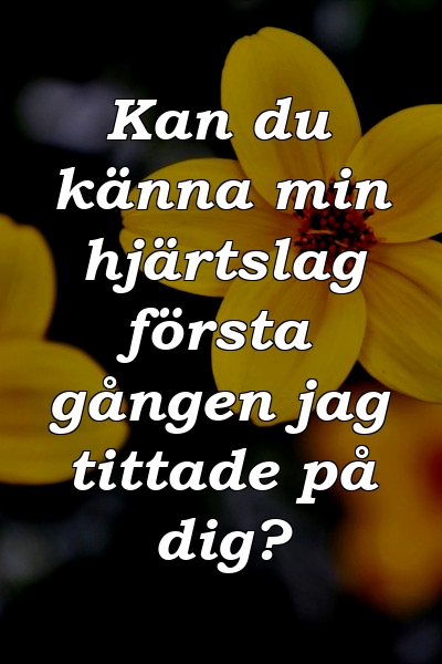 Kan du känna min hjärtslag första gången jag tittade på dig?