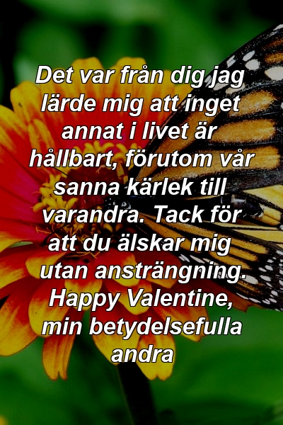 Det var från dig jag lärde mig att inget annat i livet är hållbart, förutom vår sanna kärlek till varandra. Tack för att du älskar mig utan ansträngning. Happy Valentine, min betydelsefulla andra