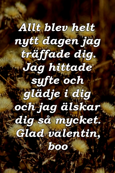 Allt blev helt nytt dagen jag träffade dig. Jag hittade syfte och glädje i dig och jag älskar dig så mycket. Glad valentin, boo