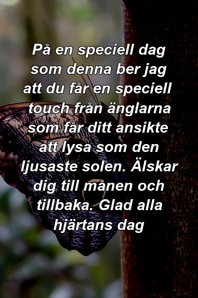 På en speciell dag som denna ber jag att du får en speciell touch från änglarna som får ditt ansikte att lysa som den ljusaste solen. Älskar dig till månen och tillbaka. Glad alla hjärtans dag