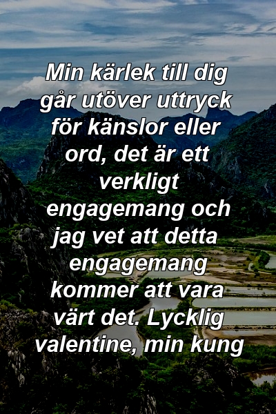 Min kärlek till dig går utöver uttryck för känslor eller ord, det är ett verkligt engagemang och jag vet att detta engagemang kommer att vara värt det. Lycklig valentine, min kung