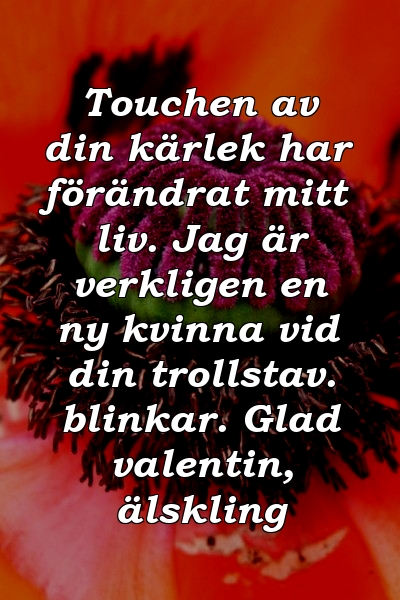 Touchen av din kärlek har förändrat mitt liv. Jag är verkligen en ny kvinna vid din trollstav. blinkar. Glad valentin, älskling