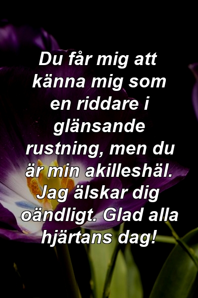 Du får mig att känna mig som en riddare i glänsande rustning, men du är min akilleshäl. Jag älskar dig oändligt. Glad alla hjärtans dag!