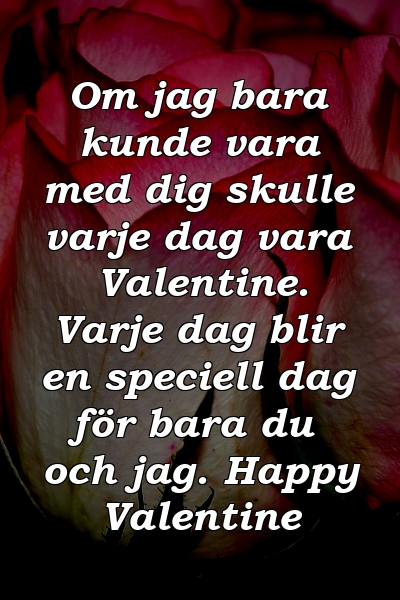 Om jag bara kunde vara med dig skulle varje dag vara Valentine. Varje dag blir en speciell dag för bara du och jag. Happy Valentine