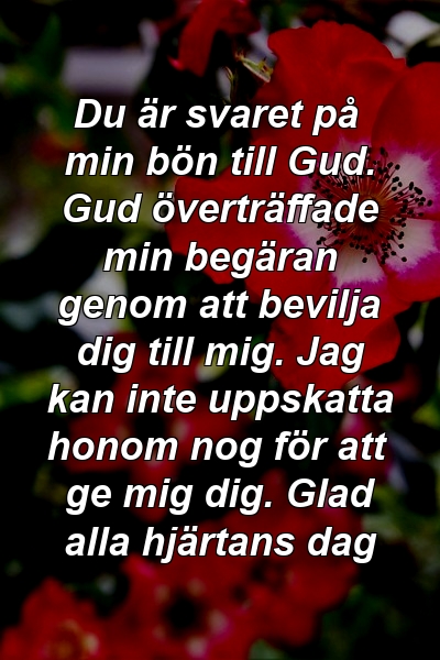 Du är svaret på min bön till Gud. Gud överträffade min begäran genom att bevilja dig till mig. Jag kan inte uppskatta honom nog för att ge mig dig. Glad alla hjärtans dag