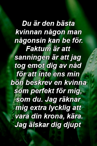 Du är den bästa kvinnan någon man någonsin kan be för. Faktum är att sanningen är att jag tog emot dig av nåd för att inte ens min bön beskrev en kvinna som perfekt för mig, som du. Jag räknar mig extra lycklig att vara din krona, kära. Jag älskar dig djupt