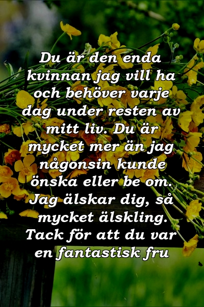 Du är den enda kvinnan jag vill ha och behöver varje dag under resten av mitt liv. Du är mycket mer än jag någonsin kunde önska eller be om. Jag älskar dig, så mycket älskling. Tack för att du var en fantastisk fru