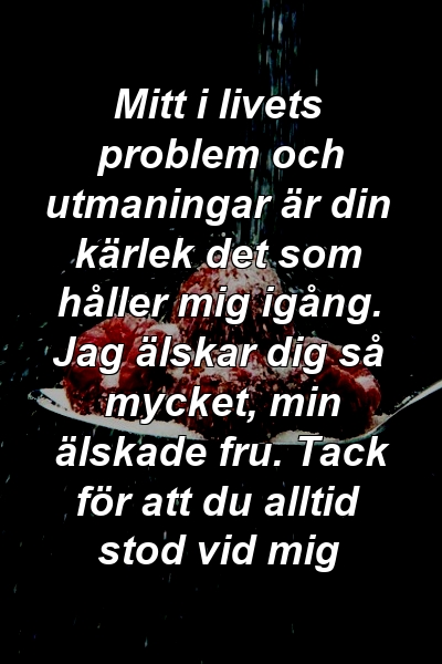 Mitt i livets problem och utmaningar är din kärlek det som håller mig igång. Jag älskar dig så mycket, min älskade fru. Tack för att du alltid stod vid mig