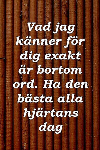 Vad jag känner för dig exakt är bortom ord. Ha den bästa alla hjärtans dag