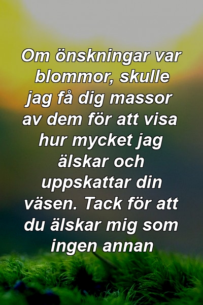 Om önskningar var blommor, skulle jag få dig massor av dem för att visa hur mycket jag älskar och uppskattar din väsen. Tack för att du älskar mig som ingen annan