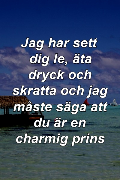 Jag har sett dig le, äta dryck och skratta och jag måste säga att du är en charmig prins