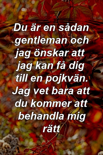 Du är en sådan gentleman och jag önskar att jag kan få dig till en pojkvän. Jag vet bara att du kommer att behandla mig rätt