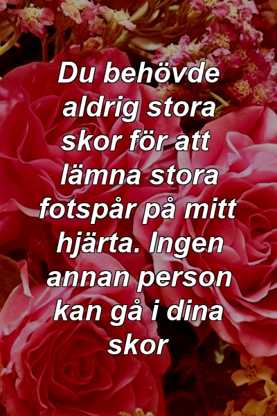 Du behövde aldrig stora skor för att lämna stora fotspår på mitt hjärta. Ingen annan person kan gå i dina skor