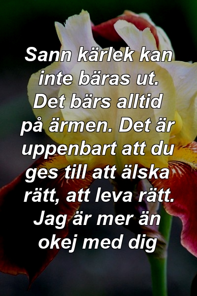 Sann kärlek kan inte bäras ut. Det bärs alltid på ärmen. Det är uppenbart att du ges till att älska rätt, att leva rätt. Jag är mer än okej med dig