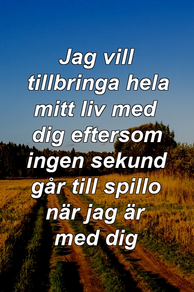 Jag vill tillbringa hela mitt liv med dig eftersom ingen sekund går till spillo när jag är med dig