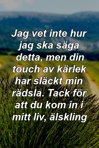 Jag vet inte hur jag ska säga detta, men din touch av kärlek har släckt min rädsla. Tack för att du kom in i mitt liv, älskling