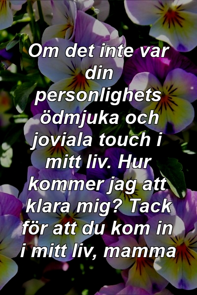 Om det inte var din personlighets ödmjuka och joviala touch i mitt liv. Hur kommer jag att klara mig? Tack för att du kom in i mitt liv, mamma