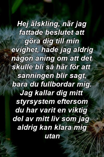 Hej älskling, när jag fattade beslutet att göra dig till min evighet, hade jag aldrig någon aning om att det skulle bli så här för att sanningen blir sagt, bara du fullbordar mig. Jag kallar dig mitt styrsystem eftersom du har varit en viktig del av mitt liv som jag aldrig kan klara mig utan