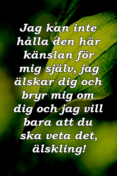 Jag kan inte hålla den här känslan för mig själv, jag älskar dig och bryr mig om dig och jag vill bara att du ska veta det, älskling!