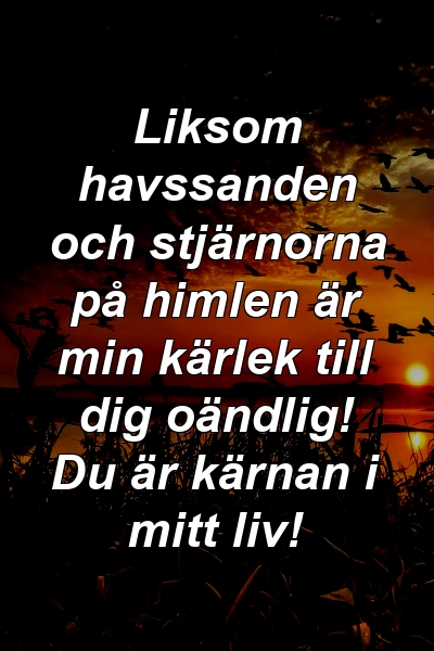 Liksom havssanden och stjärnorna på himlen är min kärlek till dig oändlig! Du är kärnan i mitt liv!