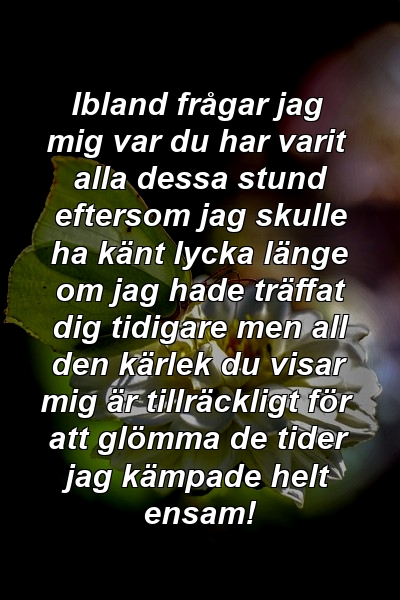 Ibland frågar jag mig var du har varit alla dessa stund eftersom jag skulle ha känt lycka länge om jag hade träffat dig tidigare men all den kärlek du visar mig är tillräckligt för att glömma de tider jag kämpade helt ensam!