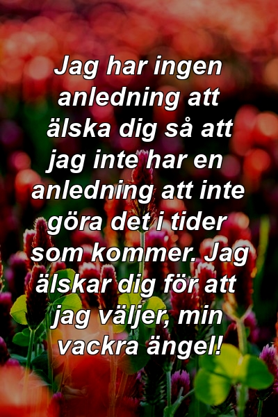 Jag har ingen anledning att älska dig så att jag inte har en anledning att inte göra det i tider som kommer. Jag älskar dig för att jag väljer, min vackra ängel!