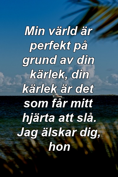 Min värld är perfekt på grund av din kärlek, din kärlek är det som får mitt hjärta att slå. Jag älskar dig, hon