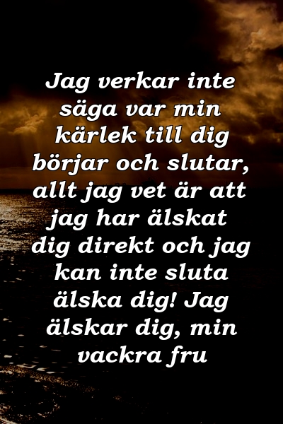 Jag verkar inte säga var min kärlek till dig börjar och slutar, allt jag vet är att jag har älskat dig direkt och jag kan inte sluta älska dig! Jag älskar dig, min vackra fru