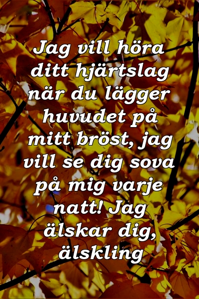 Jag vill höra ditt hjärtslag när du lägger huvudet på mitt bröst, jag vill se dig sova på mig varje natt! Jag älskar dig, älskling