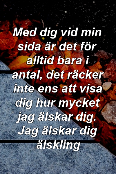 Med dig vid min sida är det för alltid bara i antal, det räcker inte ens att visa dig hur mycket jag älskar dig. Jag älskar dig älskling