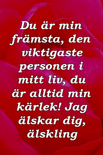 Du är min främsta, den viktigaste personen i mitt liv, du är alltid min kärlek! Jag älskar dig, älskling