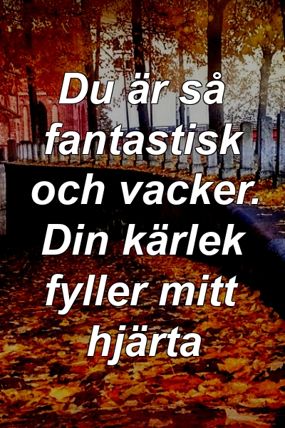 Du är så fantastisk och vacker. Din kärlek fyller mitt hjärta