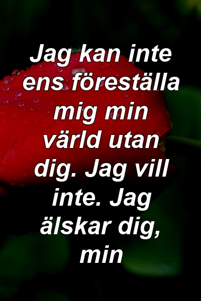 Jag kan inte ens föreställa mig min värld utan dig. Jag vill inte. Jag älskar dig, min